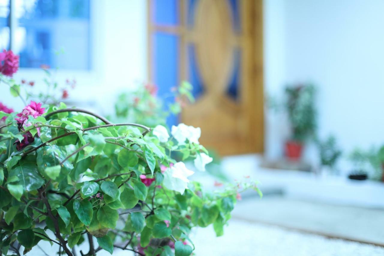 Moodhu Surf House Hotel Himmafushi Exterior foto